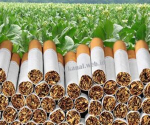 cukai rokok