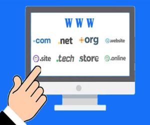 nama domain