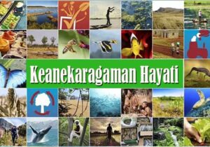 Keanekaragaman Hayati