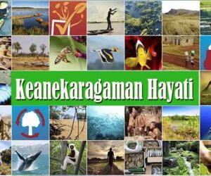 Keanekaragaman Hayati