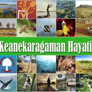 Keanekaragaman Hayati