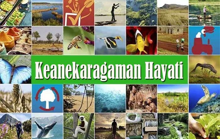 Keanekaragaman Hayati