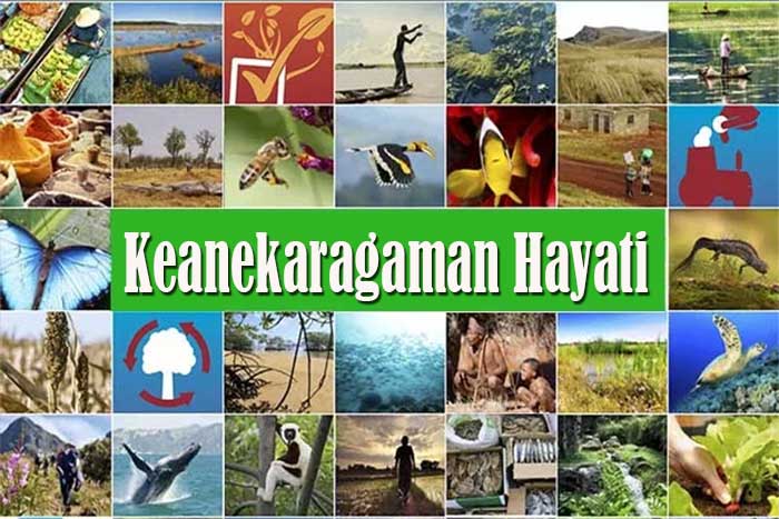 Keanekaragaman Hayati