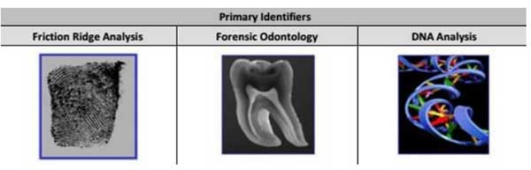 Primary Identification