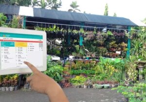 Usaha Tanaman Hias