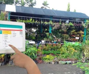 Usaha Tanaman Hias