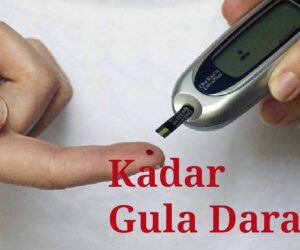 Kadar Gula Darah Normal