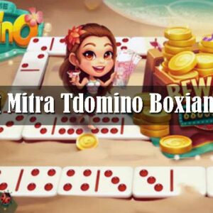 Alat Mitra Tdomino Boxiangyx