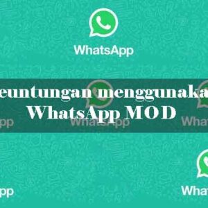 WhatsApp Mod