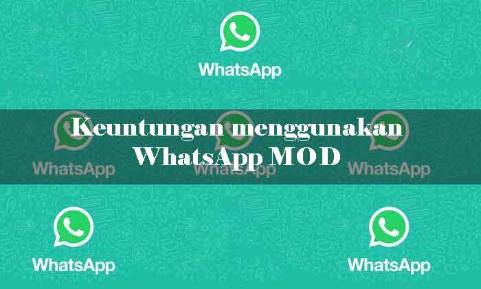 WhatsApp Mod