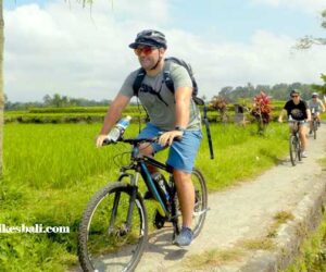 Tour Sepeda Bali