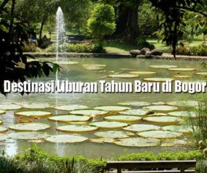 Liburan Tahun Baru di Bogor