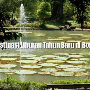 Liburan Tahun Baru di Bogor