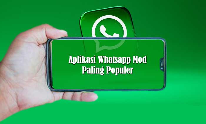 Whatsapp Mod