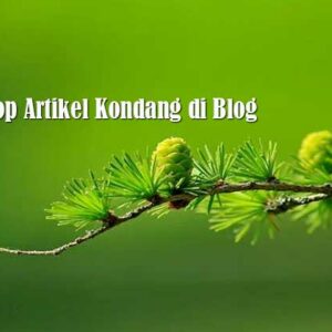 Daftar Top Artikel Kondang di Blog