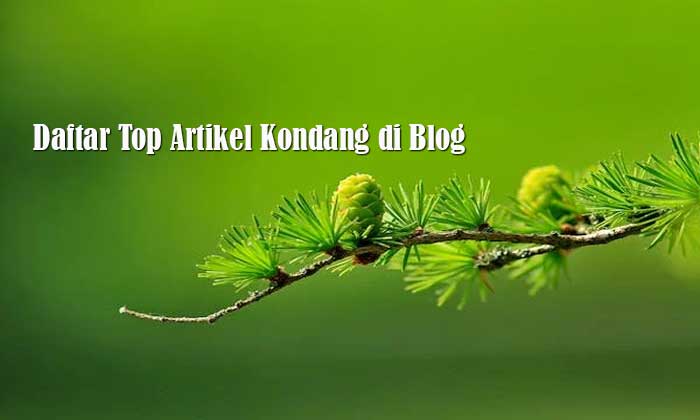 Daftar Top Artikel Kondang di Blog