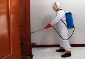 penyemprotan disinfektan
