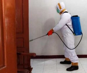 penyemprotan disinfektan