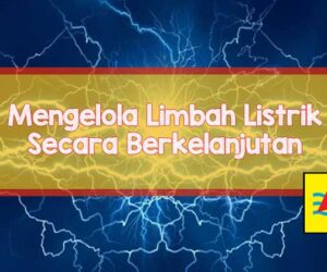 pln